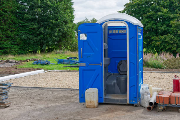 Best Portable Toilets with Baby Changing Stations  in Lake Linden, MI